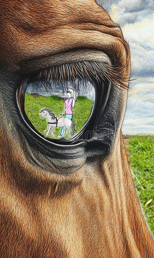 horse-eye-sketch image